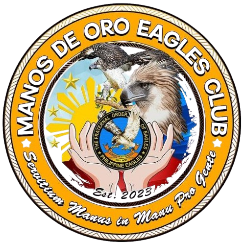 TFOE-PE Eagle Logo